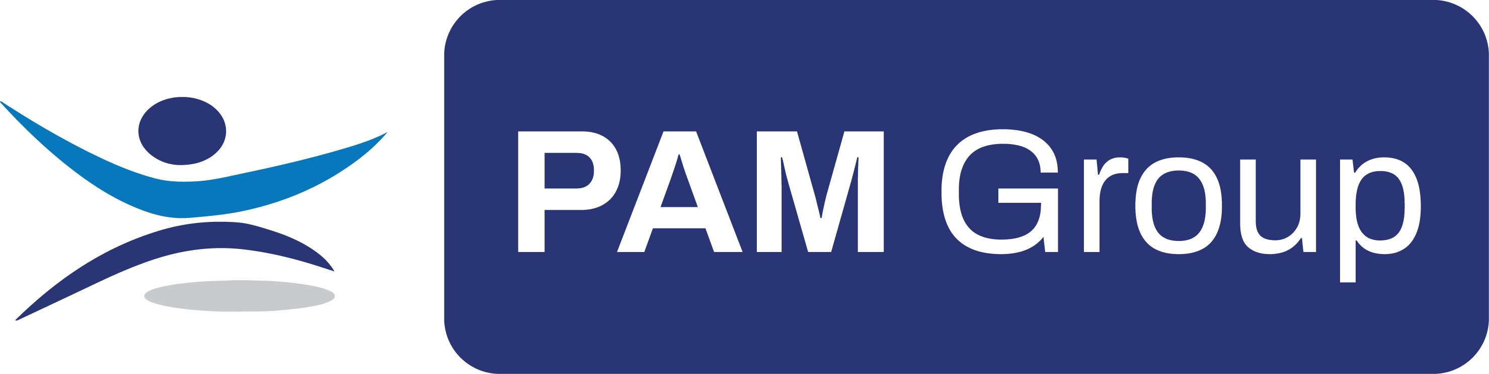 PAM Group Logo