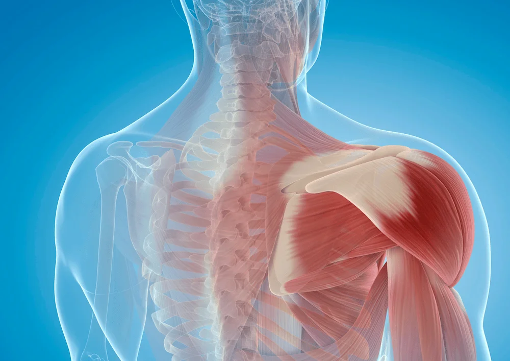 PAM Physio Solutions